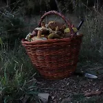Πανσιόν Roubenka Elisabeth